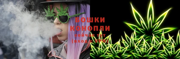 шишки Бронницы