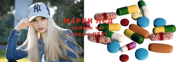 индика Бугульма