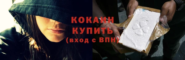индика Бугульма