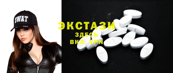 индика Бугульма
