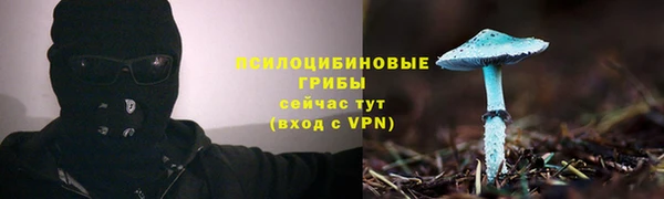индика Бугульма