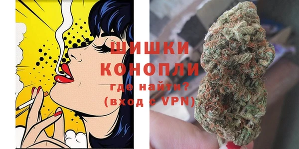 шишки Бронницы