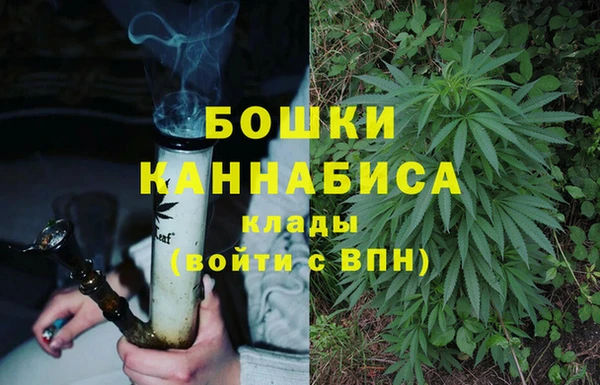 индика Бугульма