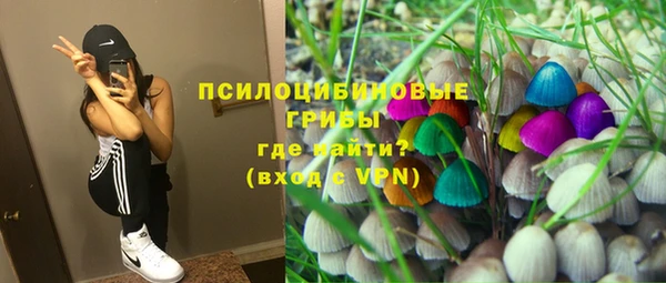 индика Бугульма