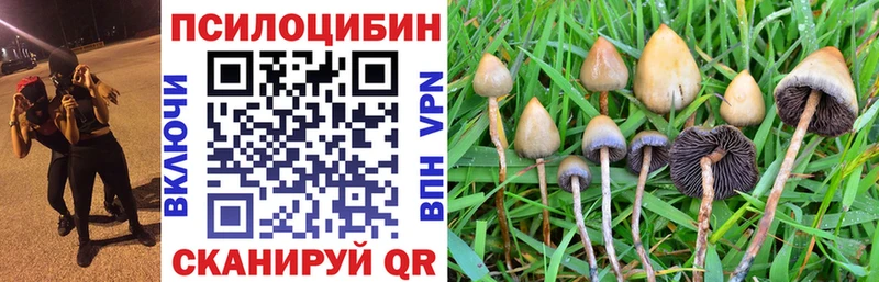 Купить где  Долинск  Псилоцибиновые грибы GOLDEN TEACHER 